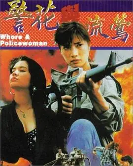 警花与流莺海报