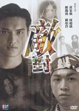 敌对敵對海报