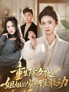 重生除夕夜,姐姐的家产谁敢动海报