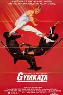 忍者大扑杀海报