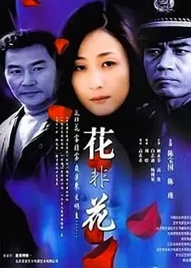 花非花海报