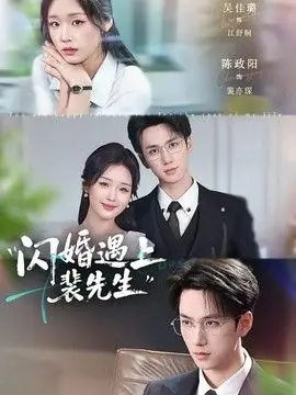 闪婚遇上裴先生海报