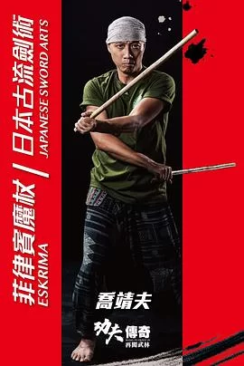 功夫传奇4再闯武林(粤语)海报