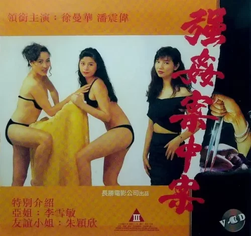 强奸案中案海报