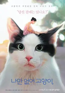 只有我没有猫나만없어고양이海报