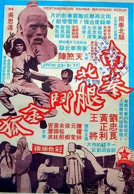 南拳北腿斗金狐南拳北腿鬥金狐海报