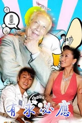 有求必应(国语)海报