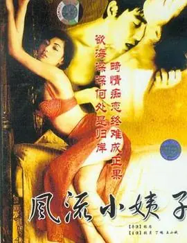 风流小姨子海报