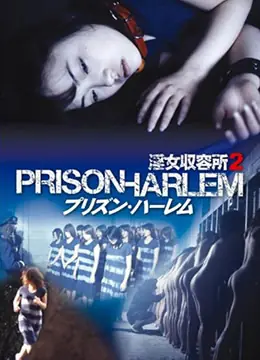 淫女收留所2海报