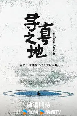 寻真之地海报