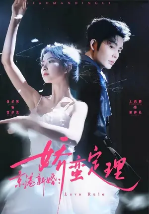 京港新婚:娇蛮定理海报