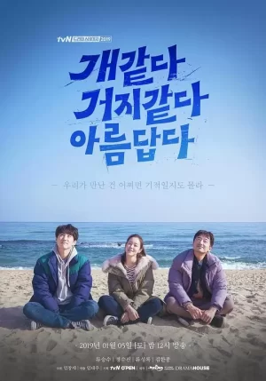 像狗像乞丐一样美丽海报