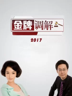 金牌调解2017海报
