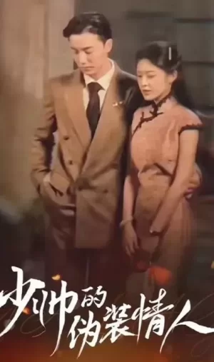 少帅的伪装情人海报