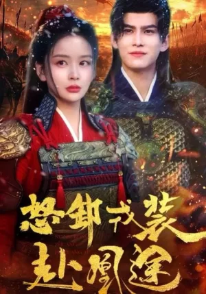 怒卸戎装赴凰途海报