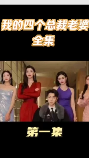 我的四个美女总裁老婆海报