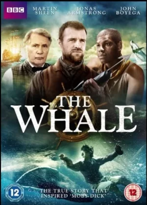 鲸鱼海报