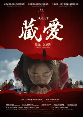 藏·爱海报
