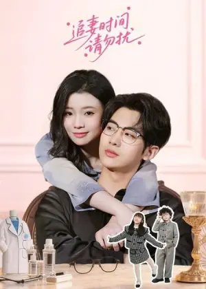 追妻时间请勿扰海报