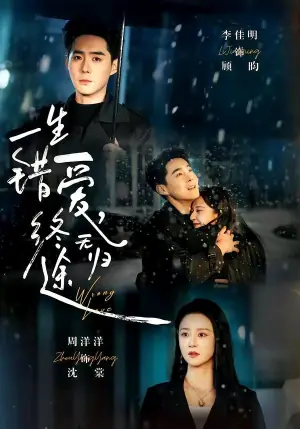 一生错爱,终无归海报