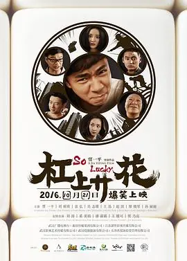 杠上开花海报