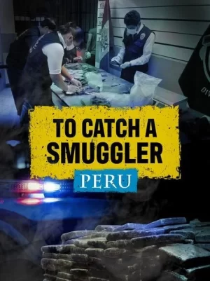 缉私档案第四季海报