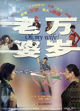 老婆万岁海报