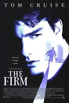 糖衣陷阱TheFirm海报