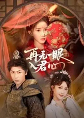 再无一眼入君心海报