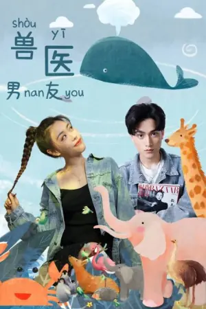 兽医男友海报