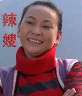 辣嫂海报