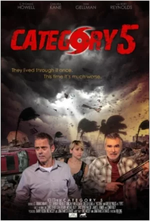 大飓风:灾难幸存者海报