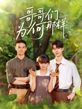 哥哥们为何对我那样海报