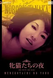 性感野猫之夜海报