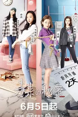 未来的秘密海报