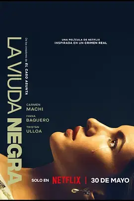 寡妇游戏[电影解说]海报