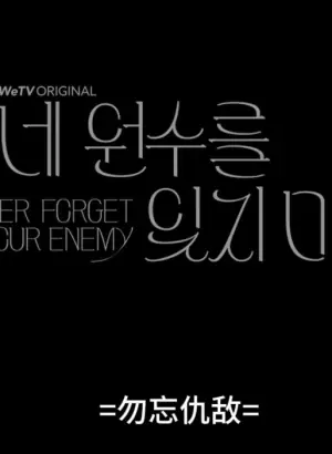 勿忘仇敌海报