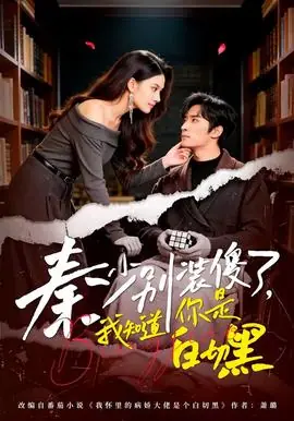 秦少别装傻了,我知道你是白切黑海报