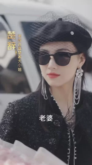 总裁夫人超凶猛海报