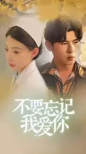 不要忘记我爱你海报