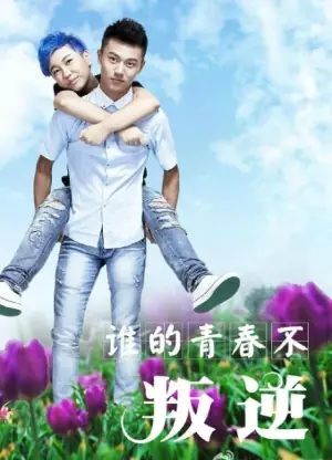 谁的青春不叛逆海报