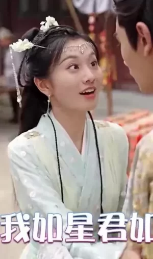 愿我如星君如月海报