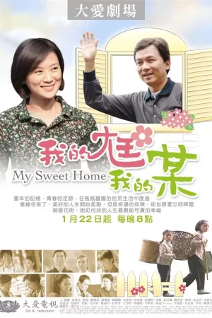 我的尪我的某海报