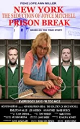 new-york-prison-break-the-seduction-of-joyce-mitchell海报