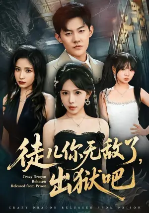徒儿你无敌了,出狱吧海报