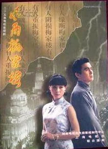 风雨梅家楼海报