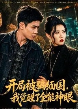 开局被骗缅国,我觉醒了全能神眼海报
