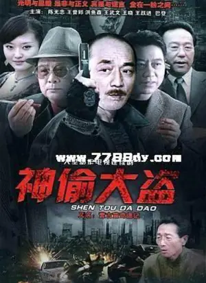 神偷大盗海报