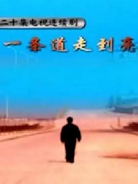一条道走到亮海报