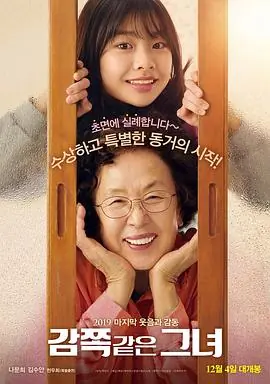 天衣无缝的她감쪽같은그녀海报